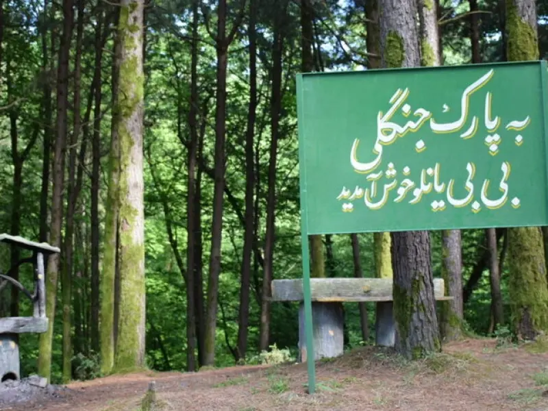 پارک جنگلی بی‌بی یانلو - تصویر 6