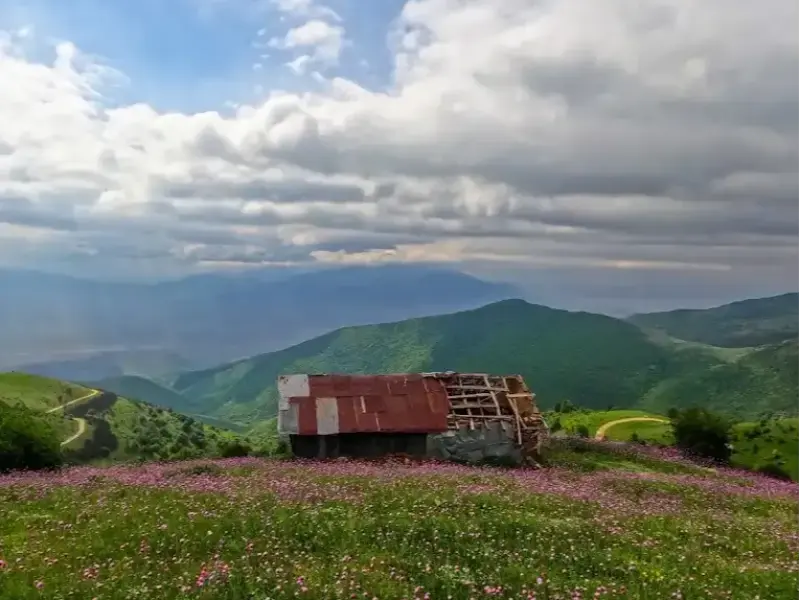 ییلاق سلانسر