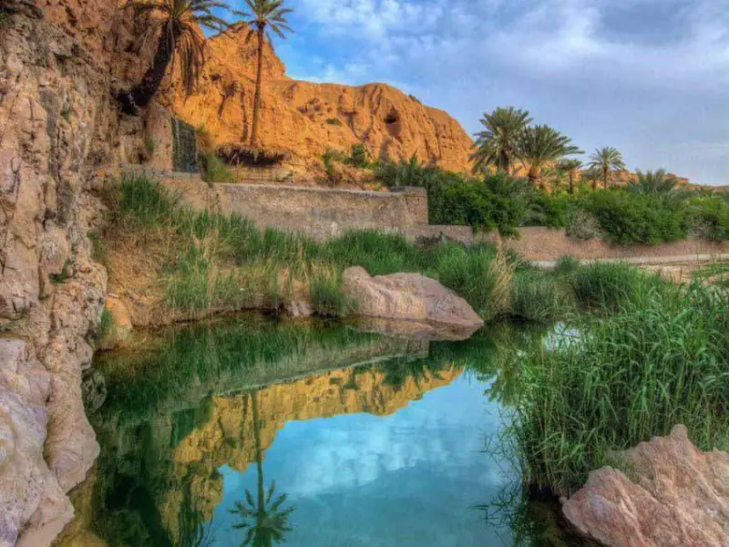 تخت عروس