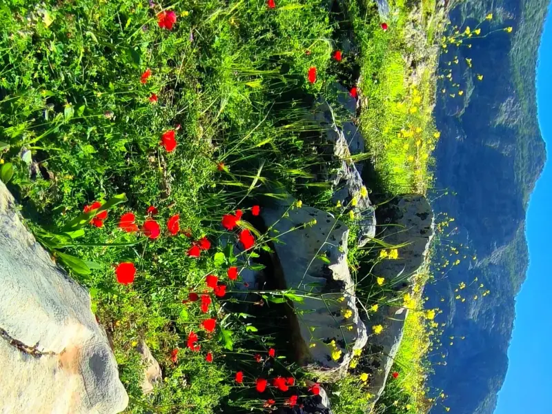 روستای شیمن - تصویر 2