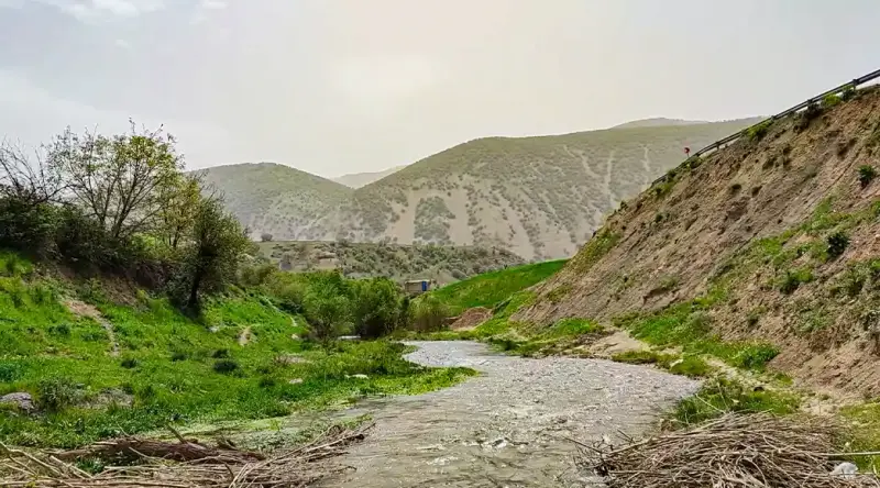 روستای سفیدبرگ - تصویر 5