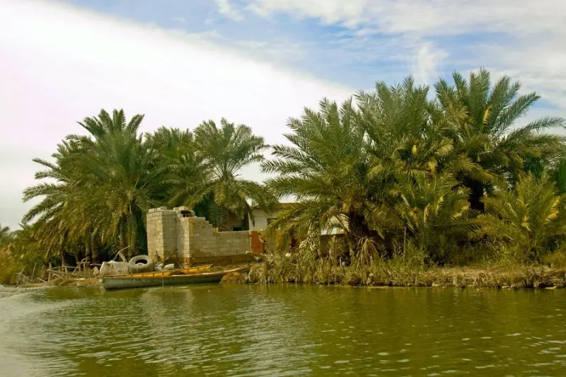 تالاب شادگان - تصویر 2