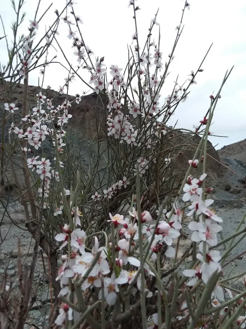 آبشار چهارده - تصویر 6