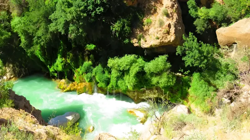 چشمه بیدملون - تصویر 2