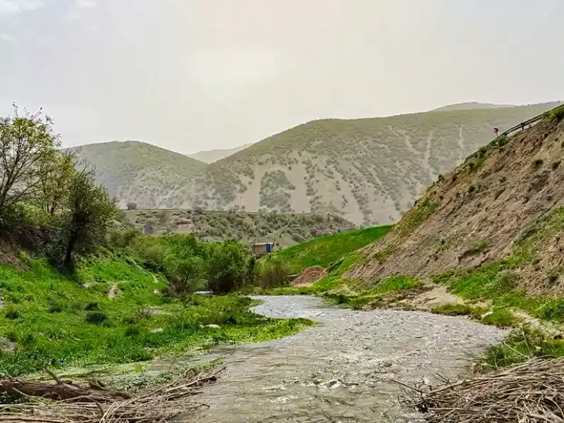 روستای سفیدبرگ - تصویر 5