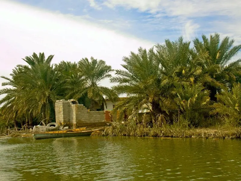 تالاب شادگان - تصویر 2
