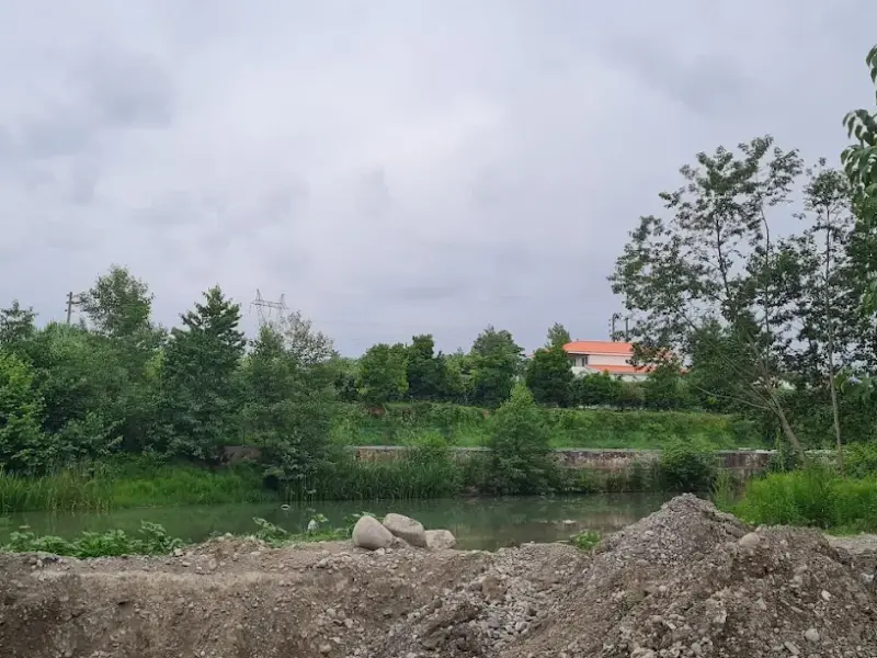 مرداب نشتارود - تصویر 3