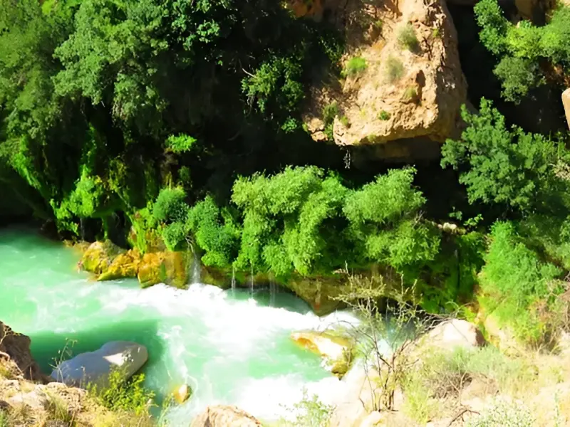 چشمه بیدملون - تصویر 2