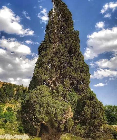 هرزویل، گیلان
