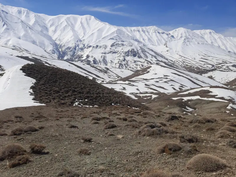قله گل اندام - تصویر 6