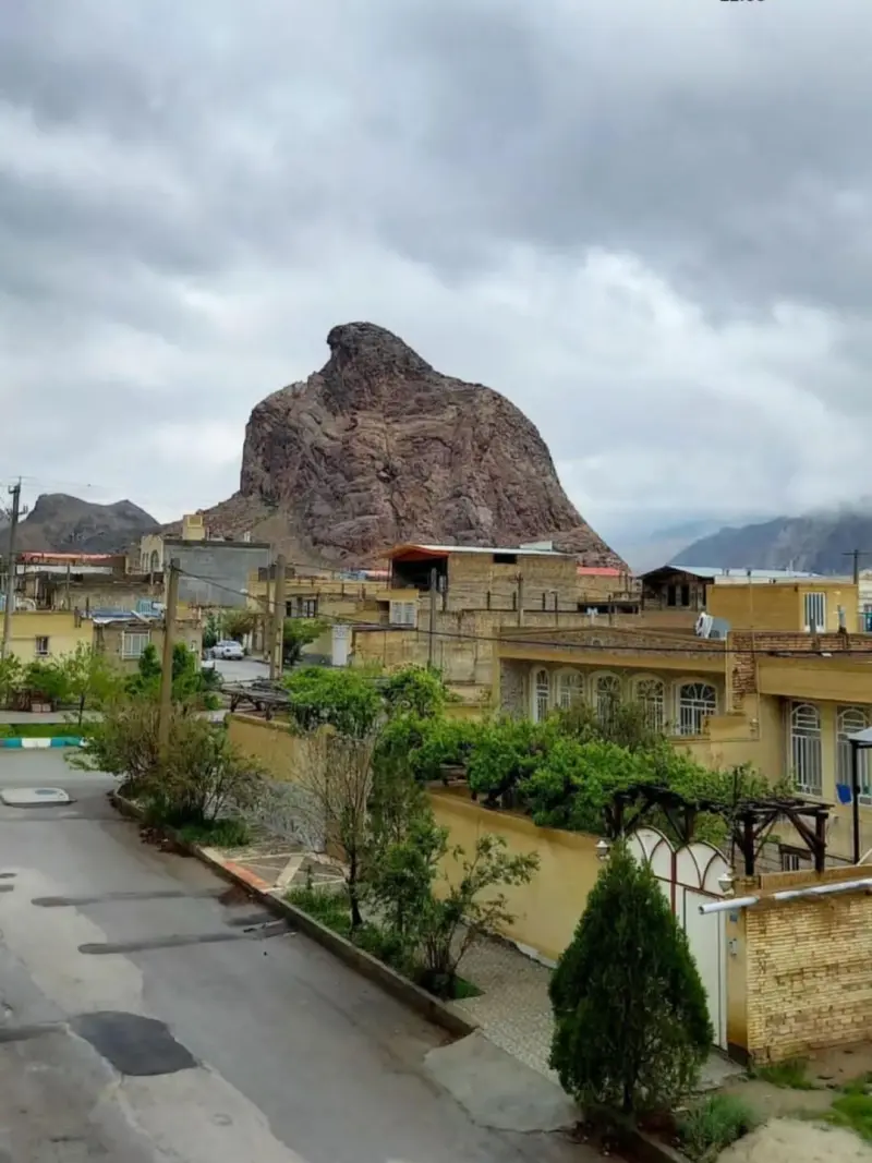 عقاب کوه - تصویر 6