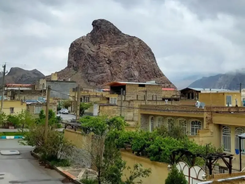 عقاب کوه - تصویر 6