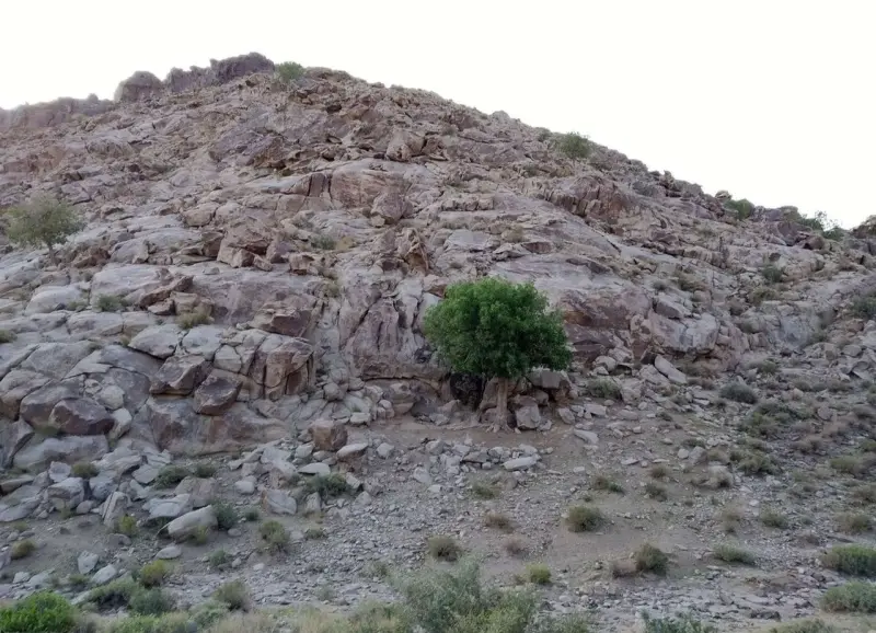 کوه لوچو - تصویر 5