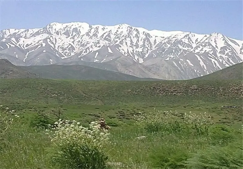 سفید کوه - تصویر 3