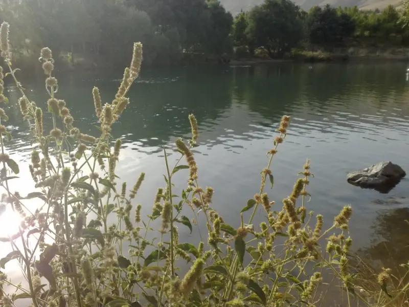 سراب گاماسیاب - تصویر 4