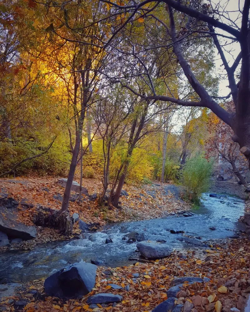 دره کشوه - تصویر 6