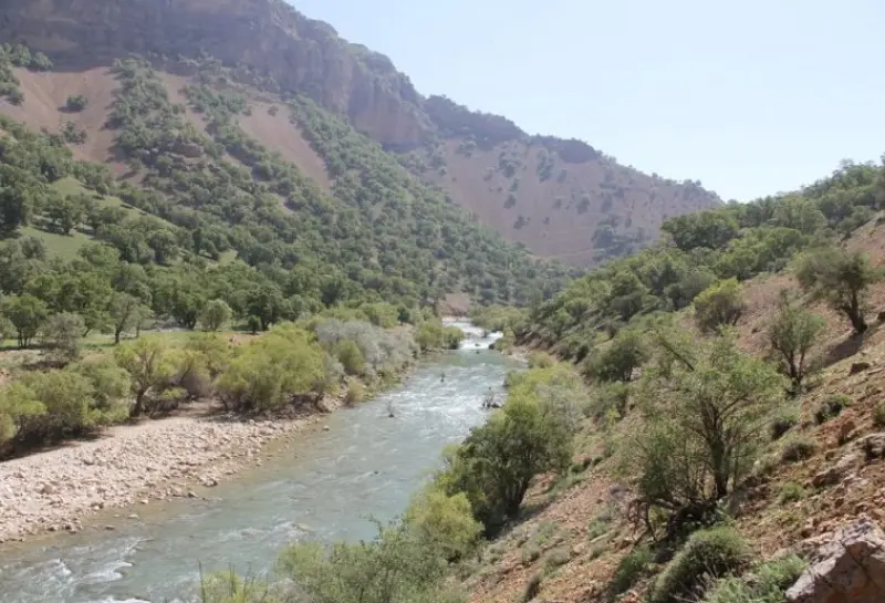 تنگ خرانداز - تصویر 4
