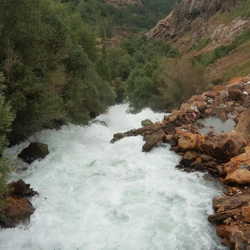 دریاچه امامزاده علی - تصویر 6