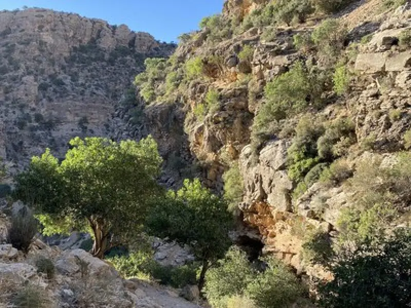 تنگ خانی - تصویر 10