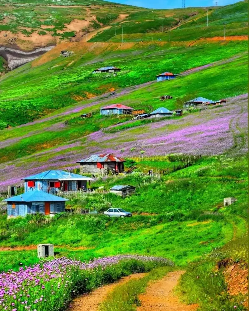 ییلاق پونل - تصویر 11