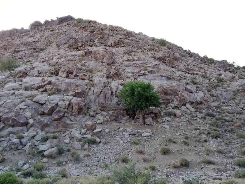 کوه لوچو - تصویر 5