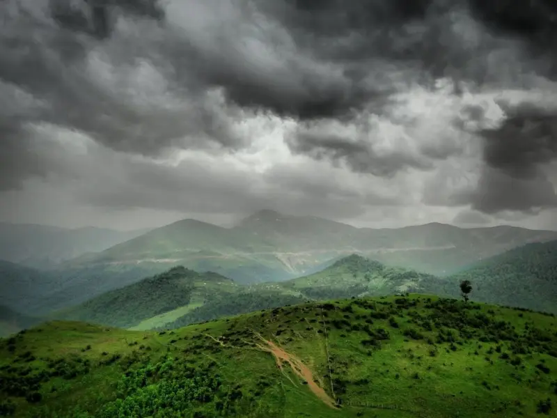 جنگل اندبیل - تصویر 6