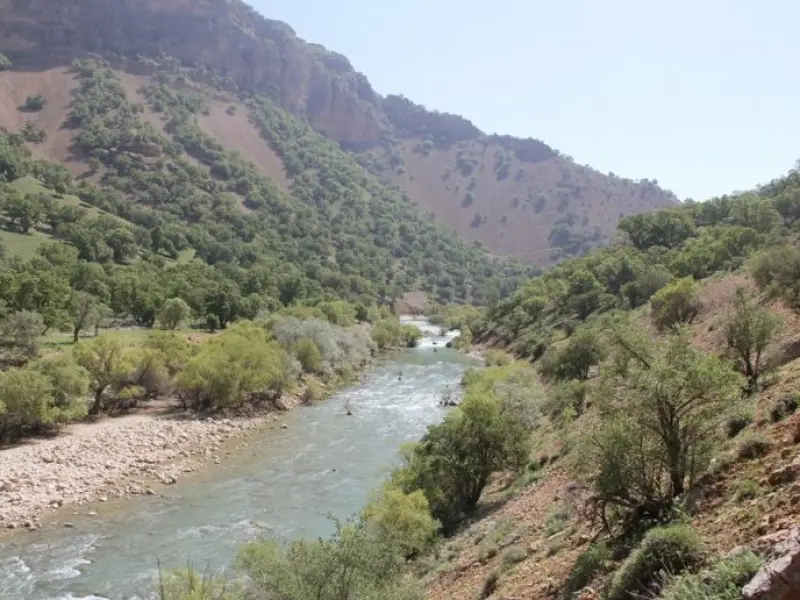تنگ خرانداز - تصویر 4