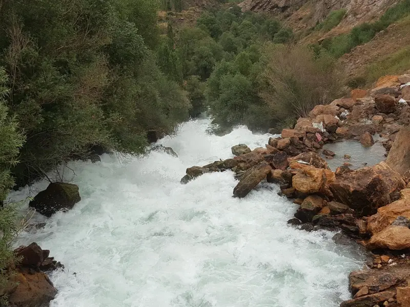 دریاچه امامزاده علی - تصویر 6