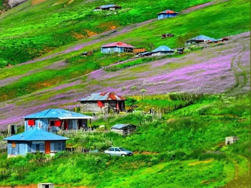ییلاق پونل - تصویر 11