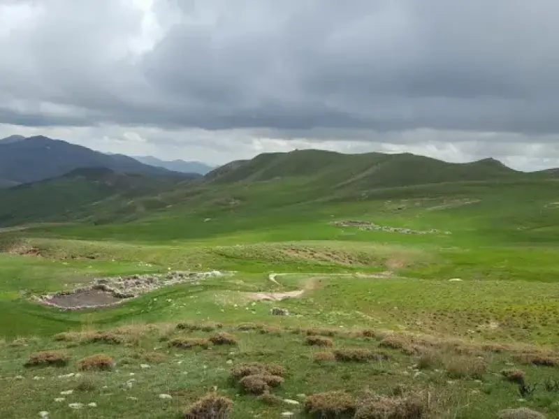 پناهگاه حیات‌‍وحش کیامکی - تصویر 7