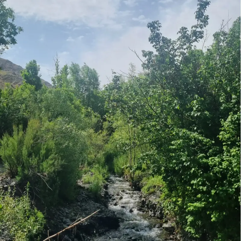 دره کشوه - تصویر 3