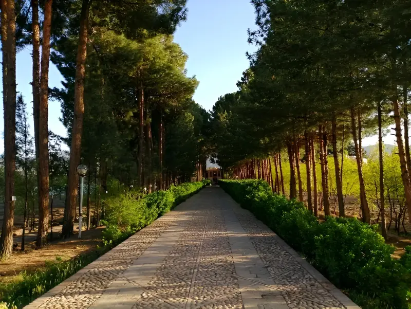 باغ اکبریه بیرجند - تصویر 1