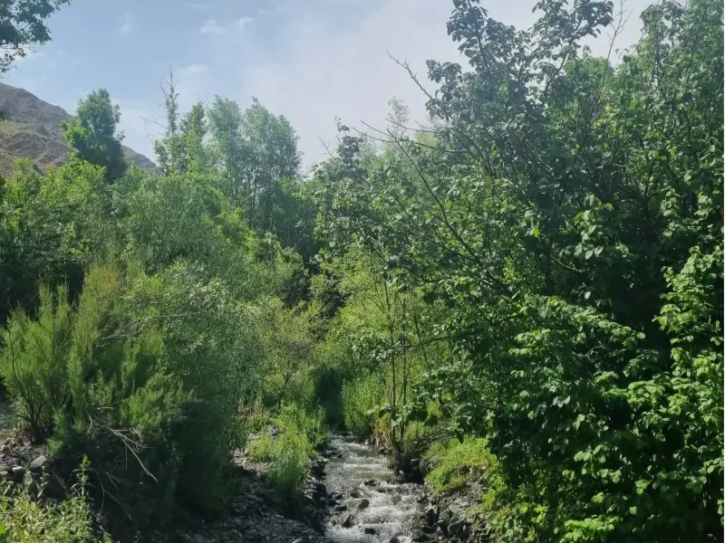 دره کشوه - تصویر 3