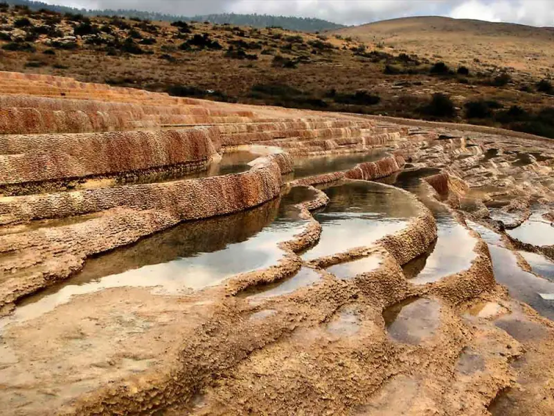 باداب سورت - تصویر 7