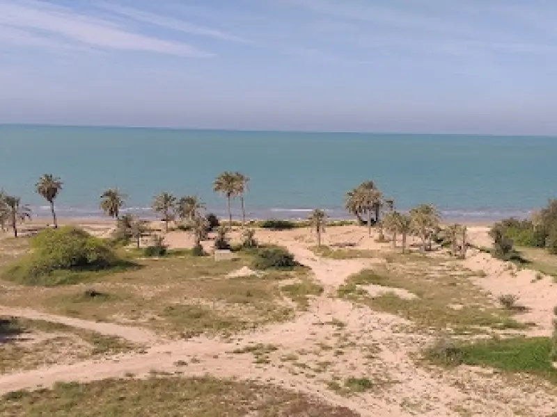 ساحل بندر دیلم - تصویر 6