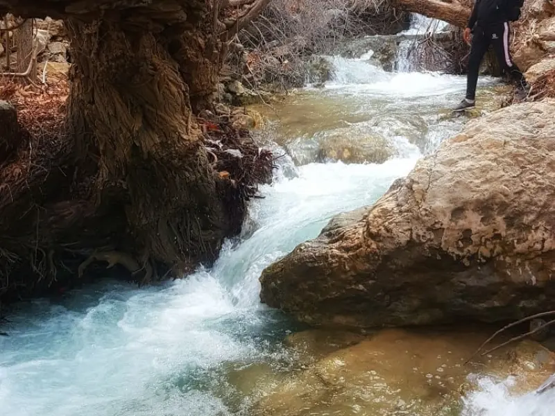 تنگ بغدیون - تصویر 1