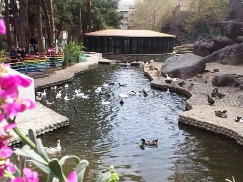 پارک ساعی - تصویر 10
