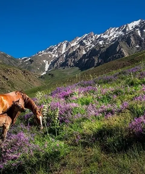 اشترانکوه، لرستان