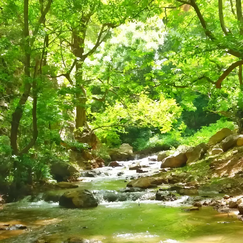آبشار حشوید - تصویر 4
