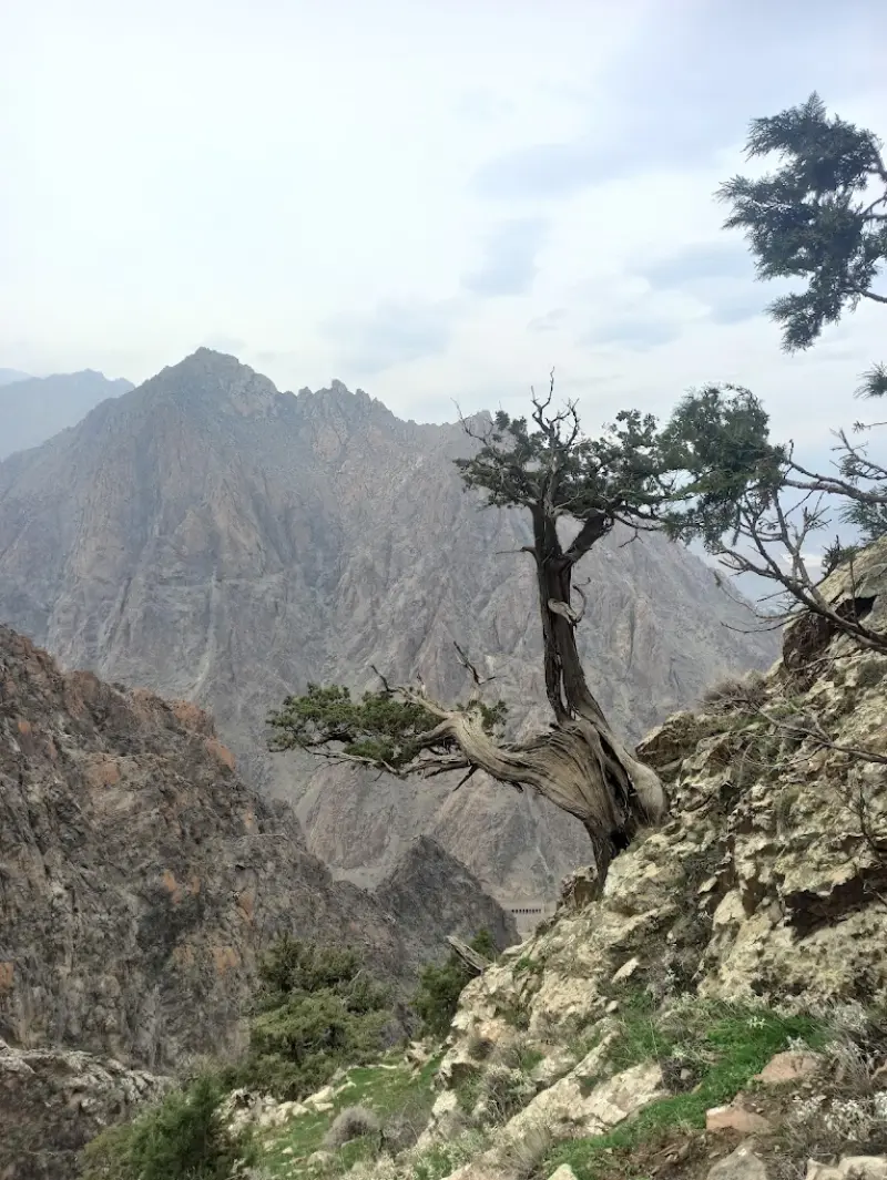 پارک ملی کنتال - تصویر 4