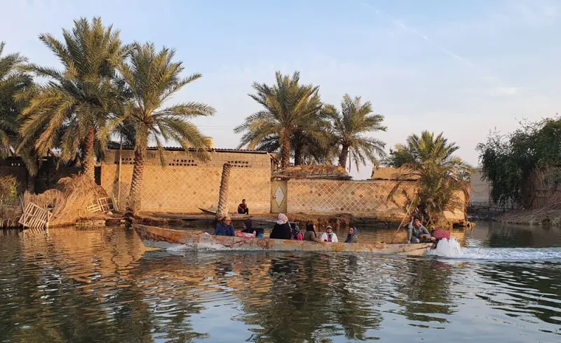 تالاب شادگان - تصویر 3