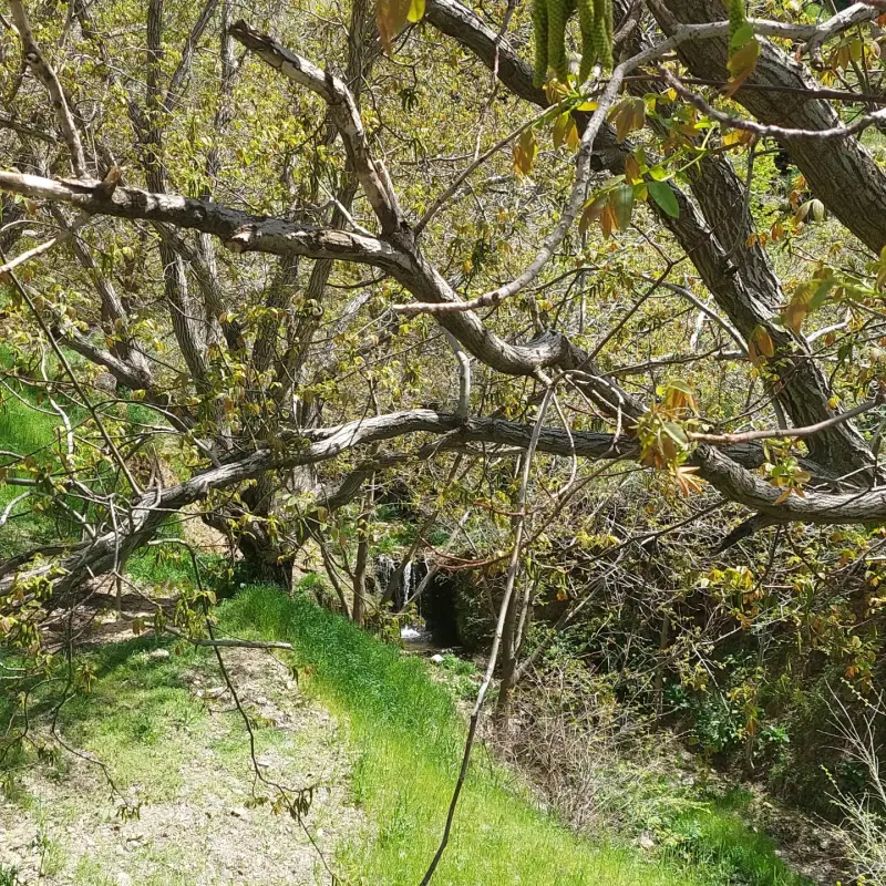 روستای ملهمدره - تصویر 3