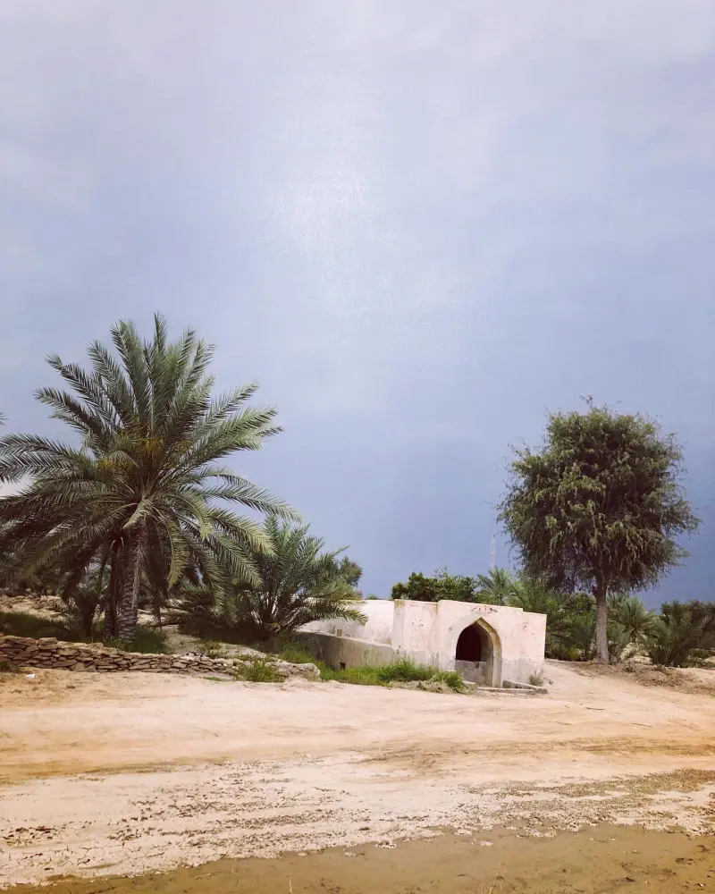 روستای گیاهدان - تصویر 1