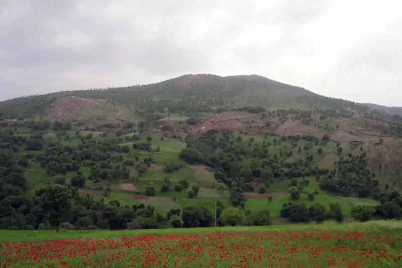 روستای نجنه‌علیا - تصویر 2