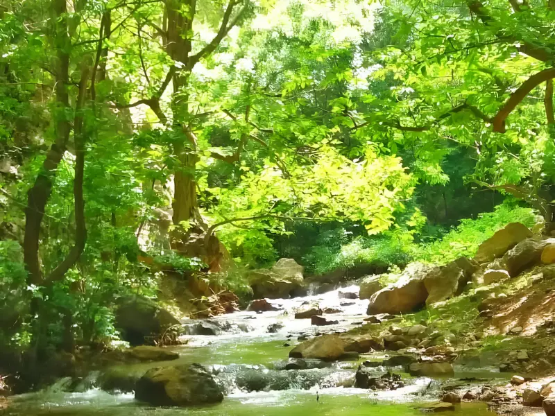 آبشار حشوید - تصویر 4