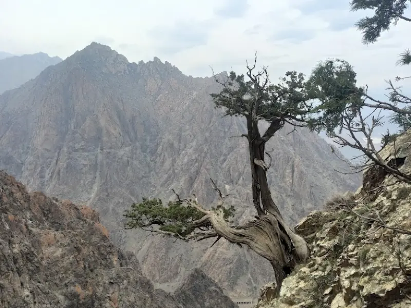 پارک ملی کنتال - تصویر 4