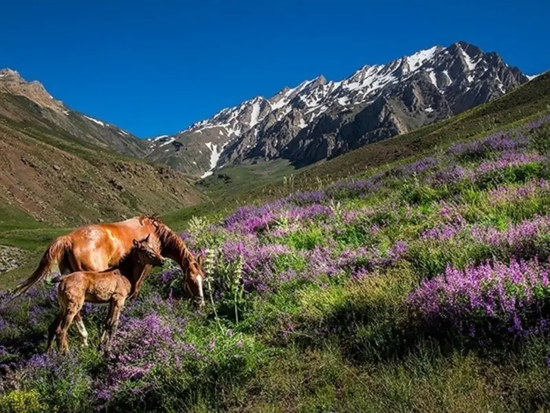 اشترانکوه