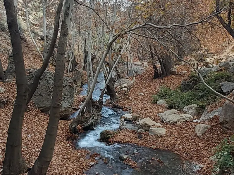 تنگ غوره دان - تصویر 2
