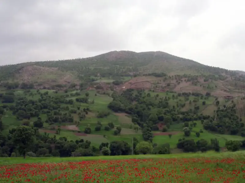 روستای نجنه‌علیا - تصویر 2