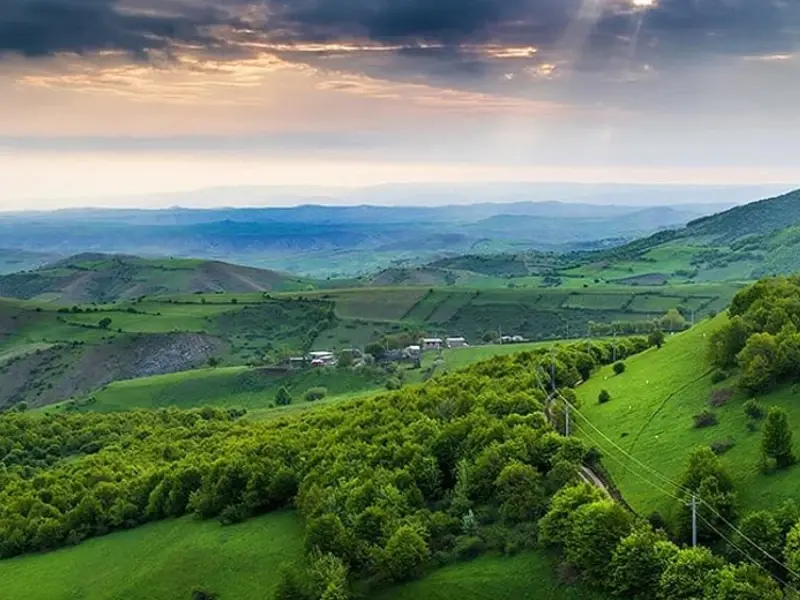 جنگل ارسباران - تصویر 3